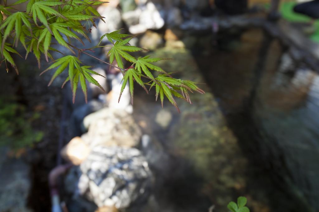 Puruke-No-Yakata Hotel Kawabata Shibetsu  Екстер'єр фото